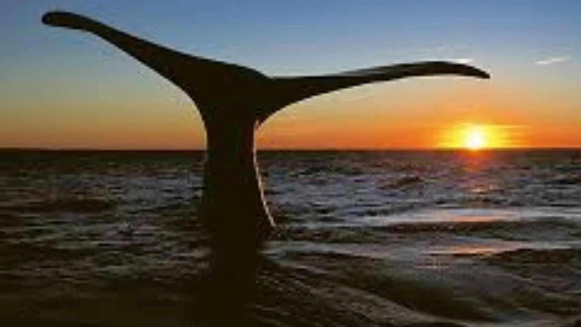 Holiday home Beach2Anchor, Beachfront 4 Bedroom Condo With Jacuzzi Gordons Bay South Africa